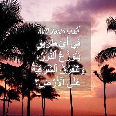 Picture 04 - أَيُّوبَ 38:24 AVD - فِي أَيِّ طَرِيقٍ - Bible Verse Picture
