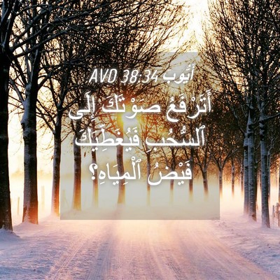 Picture 04 - أَيُّوبَ 38:34 AVD - أَتَرْفَعُ صَوْتَكَ إِلَى - Bible Verse Picture