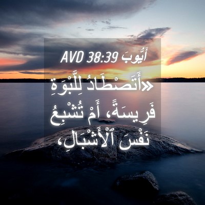 Picture 04 - أَيُّوبَ 38:39 AVD - «أَتَصْطَادُ لِلَّبْوَةِ - Bible Verse Picture