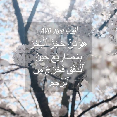 Picture 04 - أَيُّوبَ 38:8 AVD - «وَمَنْ حَجَزَ ٱلْبَحْرَ - Bible Verse Picture