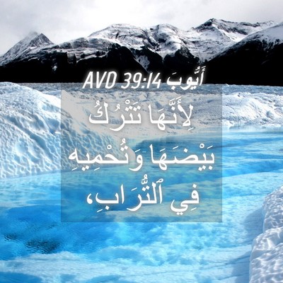 Picture 04 - أَيُّوبَ 39:14 AVD - لِأَنَّهَا تَتْرُكُ - Bible Verse Picture