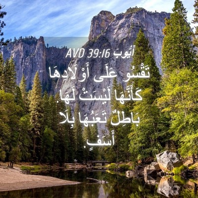 Picture 04 - أَيُّوبَ 39:16 AVD - تَقْسُو عَلَى - Bible Verse Picture