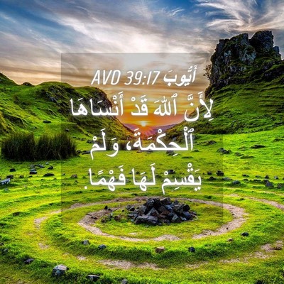 Picture 04 - أَيُّوبَ 39:17 AVD - لِأَنَّ ٱللهَ قَدْ - Bible Verse Picture