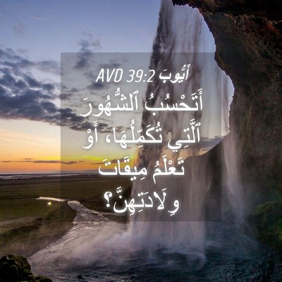 Picture 04 - أَيُّوبَ 39:2 AVD - أَتَحْسُبُ ٱلشُّهُورَ - Bible Verse Picture