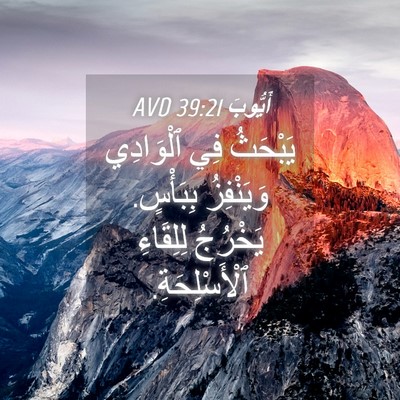 Picture 04 - أَيُّوبَ 39:21 AVD - يَبْحَثُ فِي ٱلْوَادِي - Bible Verse Picture