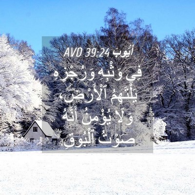 Picture 04 - أَيُّوبَ 39:24 AVD - فِي وَثْبِهِ وَرُجْزِهِ - Bible Verse Picture