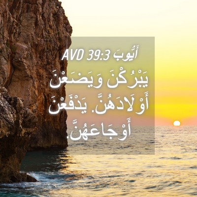 Picture 04 - أَيُّوبَ 39:3 AVD - يَبْرُكْنَ وَيَضَعْنَ - Bible Verse Picture