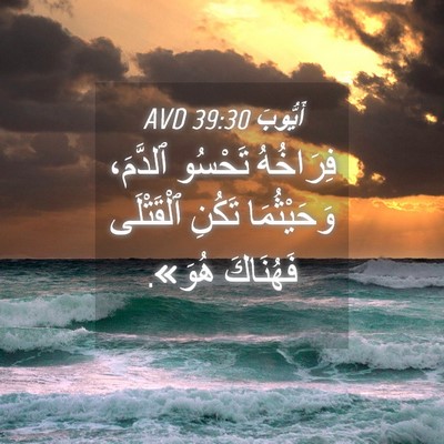 Picture 04 - أَيُّوبَ 39:30 AVD - فِرَاخُهُ تَحْسُو - Bible Verse Picture