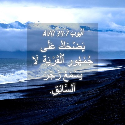Picture 04 - أَيُّوبَ 39:7 AVD - يَضْحَكُ عَلَى جُمْهُورِ - Bible Verse Picture