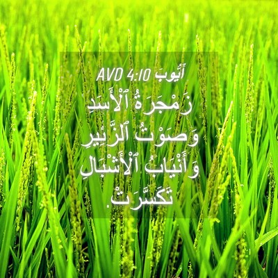 Picture 04 - أَيُّوبَ 4:10 AVD - زَمْجَرَةُ ٱلْأَسَدِ - Bible Verse Picture