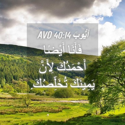 Picture 04 - أَيُّوبَ 40:14 AVD - فَأَنَا أَيْضًا - Bible Verse Picture