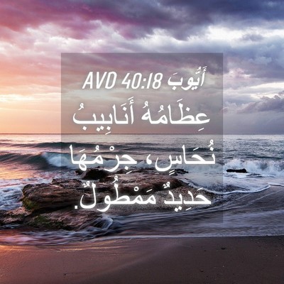 Picture 04 - أَيُّوبَ 40:18 AVD - عِظَامُهُ أَنَابِيبُ - Bible Verse Picture
