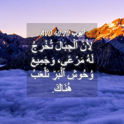 Picture 04 - أَيُّوبَ 40:20 AVD - لِأَنَّ ٱلْجِبَالَ - Bible Verse Picture