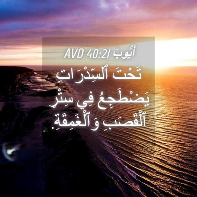 Picture 04 - أَيُّوبَ 40:21 AVD - تَحْتَ ٱلسِّدْرَاتِ - Bible Verse Picture