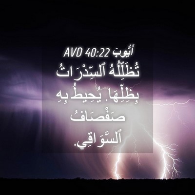 Picture 04 - أَيُّوبَ 40:22 AVD - تُظَلِّلُهُ ٱلسِّدْرَاتُ - Bible Verse Picture