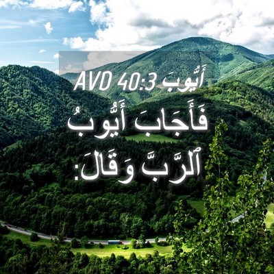 Picture 04 - أَيُّوبَ 40:3 AVD - فَأَجَابَ أَيُّوبُ - Bible Verse Picture