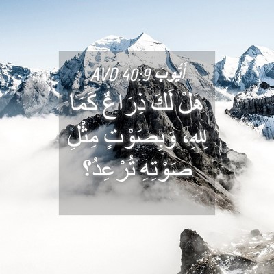Picture 04 - أَيُّوبَ 40:9 AVD - هَلْ لَكَ ذِرَاعٌ كَمَا - Bible Verse Picture