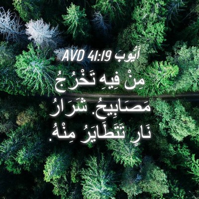 Picture 04 - أَيُّوبَ 41:19 AVD - مِنْ فِيهِ تَخْرُجُ - Bible Verse Picture