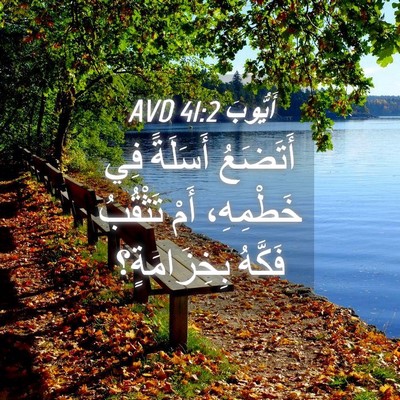 Picture 04 - أَيُّوبَ 41:2 AVD - أَتَضَعُ أَسَلَةً فِي - Bible Verse Picture