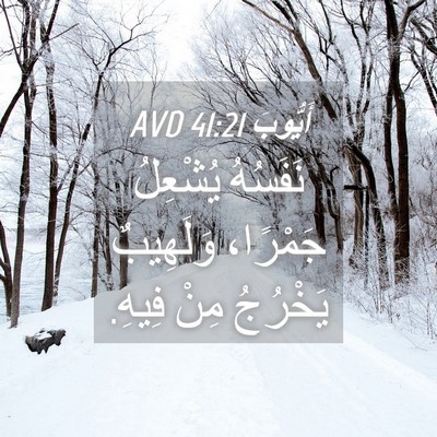 Picture 04 - أَيُّوبَ 41:21 AVD - نَفَسُهُ يُشْعِلُ - Bible Verse Picture