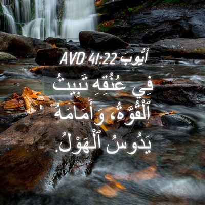 Picture 04 - أَيُّوبَ 41:22 AVD - فِي عُنُقِهِ تَبِيتُ - Bible Verse Picture