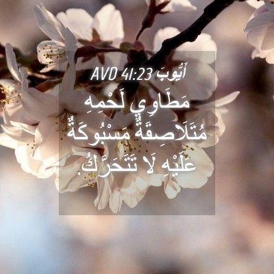 Picture 04 - أَيُّوبَ 41:23 AVD - مَطَاوِي لَحْمِهِ - Bible Verse Picture