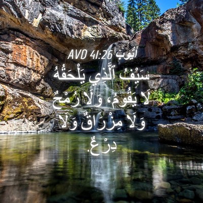 Picture 04 - أَيُّوبَ 41:26 AVD - سَيْفُ ٱلَّذِي يَلْحَقُهُ - Bible Verse Picture