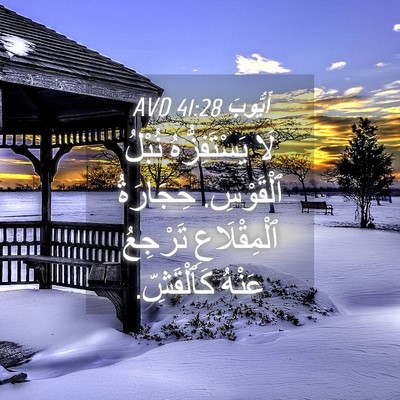 Picture 04 - أَيُّوبَ 41:28 AVD - لَا يَسْتَفِزُّهُ نُبْلُ - Bible Verse Picture