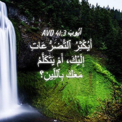 Picture 04 - أَيُّوبَ 41:3 AVD - أَيُكْثِرُ - Bible Verse Picture