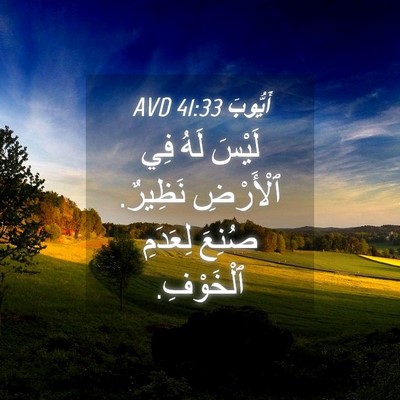 Picture 04 - أَيُّوبَ 41:33 AVD - لَيْسَ لَهُ فِي ٱلْأَرْضِ - Bible Verse Picture