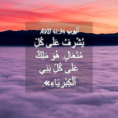 Picture 04 - أَيُّوبَ 41:34 AVD - يُشْرِفُ عَلَى كُلِّ - Bible Verse Picture