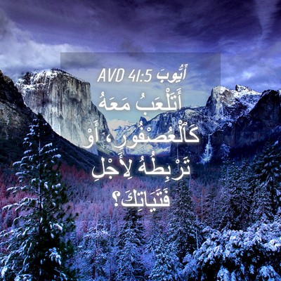 Picture 04 - أَيُّوبَ 41:5 AVD - أَتَلْعَبُ مَعَهُ - Bible Verse Picture