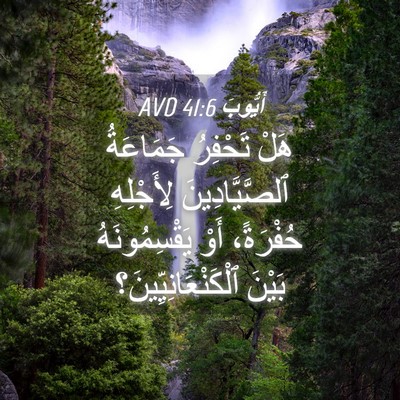 Picture 04 - أَيُّوبَ 41:6 AVD - هَلْ تَحْفِرُ جَمَاعَةُ - Bible Verse Picture