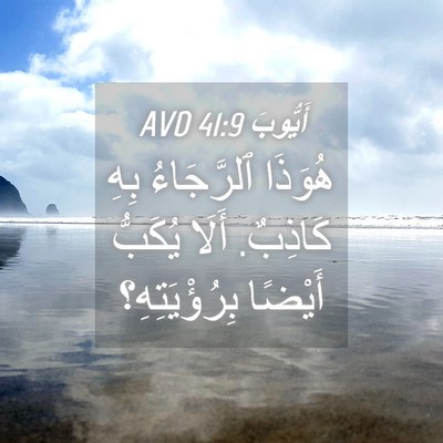 Picture 04 - أَيُّوبَ 41:9 AVD - هُوَذَا ٱلرَّجَاءُ بِهِ - Bible Verse Picture