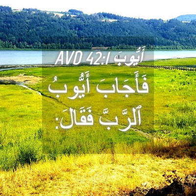 Picture 04 - أَيُّوبَ 42:1 AVD - فَأَجَابَ أَيُّوبُ - Bible Verse Picture