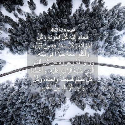 Picture 04 - أَيُّوبَ 42:11 AVD - فَجَاءَ إِلَيْهِ كُلُّ - Bible Verse Picture