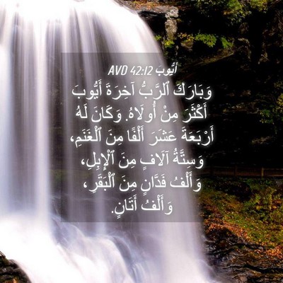 Picture 04 - أَيُّوبَ 42:12 AVD - وَبَارَكَ ٱلرَّبُّ - Bible Verse Picture