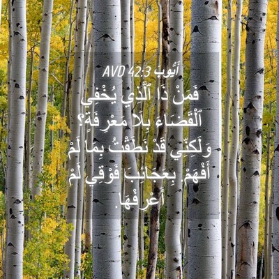 Picture 04 - أَيُّوبَ 42:3 AVD - فَمَنْ ذَا ٱلَّذِي يُخْفِي - Bible Verse Picture