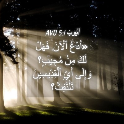 Picture 04 - أَيُّوبَ 5:1 AVD - «اُدْعُ ٱلْآنَ. فَهَلْ - Bible Verse Picture