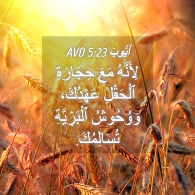 Picture 04 - أَيُّوبَ 5:23 AVD - لِأَنَّهُ مَعَ حِجَارَةِ - Bible Verse Picture