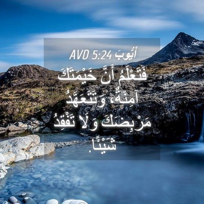 Picture 04 - أَيُّوبَ 5:24 AVD - فَتَعْلَمُ أَنَّ - Bible Verse Picture