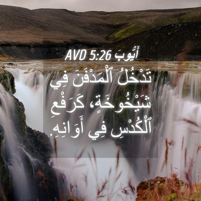 Picture 04 - أَيُّوبَ 5:26 AVD - تَدْخُلُ ٱلْمَدْفَنَ فِي - Bible Verse Picture