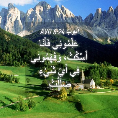 Picture 04 - أَيُّوبَ 6:24 AVD - عَلِّمُونِي فَأَنَا - Bible Verse Picture