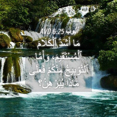 Picture 04 - أَيُّوبَ 6:25 AVD - مَا أَشَدَّ ٱلْكَلَامَ - Bible Verse Picture