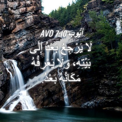 Picture 04 - أَيُّوبَ 7:10 AVD - لَا يَرْجِعُ بَعْدُ إِلَى - Bible Verse Picture