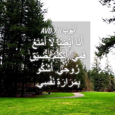 Picture 04 - أَيُّوبَ 7:11 AVD - أَنَا أَيْضًا لَا أَمْنَعُ - Bible Verse Picture