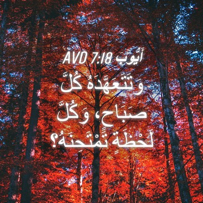 Picture 04 - أَيُّوبَ 7:18 AVD - وَتَتَعَهَّدَهُ كُلَّ - Bible Verse Picture