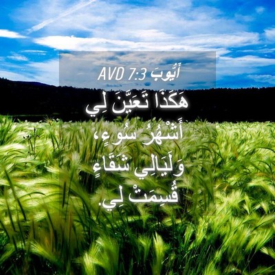 Picture 04 - أَيُّوبَ 7:3 AVD - هَكَذَا تَعَيَّنَ لِي - Bible Verse Picture