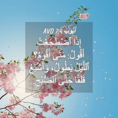 Picture 04 - أَيُّوبَ 7:4 AVD - إِذَا ٱضْطَجَعْتُ أَقُولُ: - Bible Verse Picture