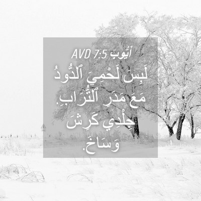 Picture 04 - أَيُّوبَ 7:5 AVD - لَبِسَ لَحْمِيَ ٱلدُّودُ - Bible Verse Picture